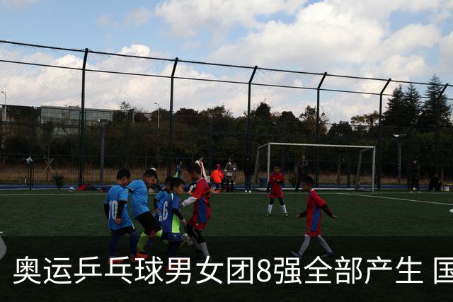 奥运乒乓球男女团8强全部产生 国乒男队将战韩国